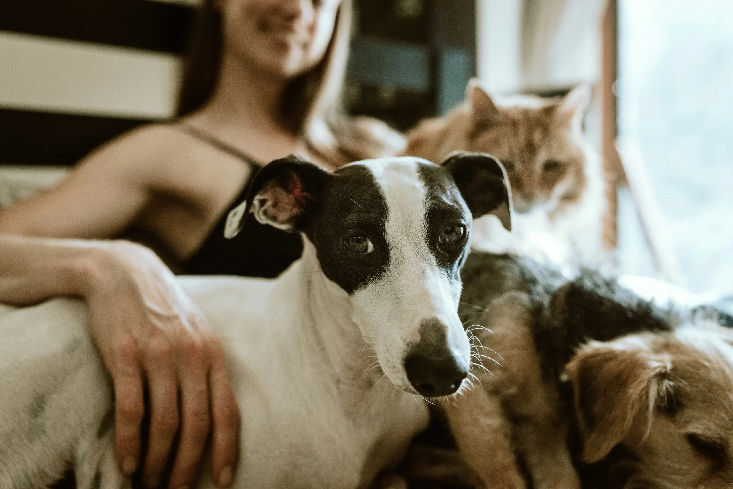 Girl and pets